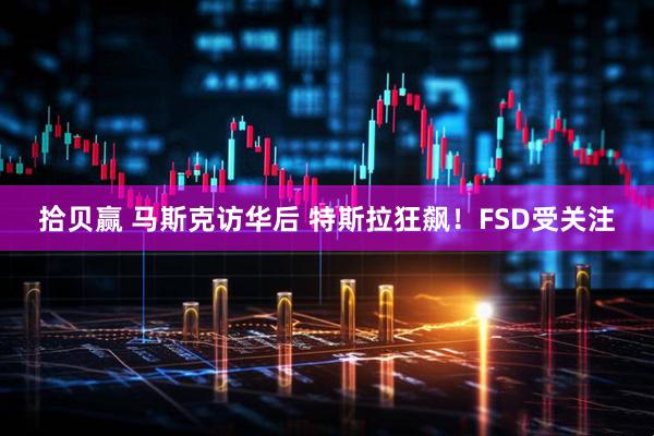 拾贝赢 马斯克访华后 特斯拉狂飙！FSD受关注