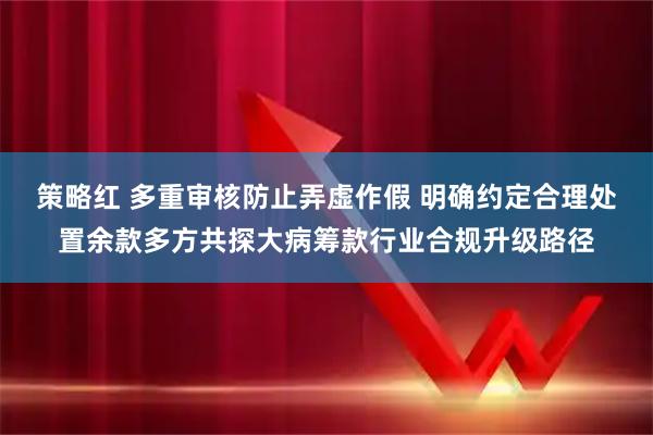 策略红 多重审核防止弄虚作假 明确约定合理处置余款多方共探大病筹款行业合规升级路径