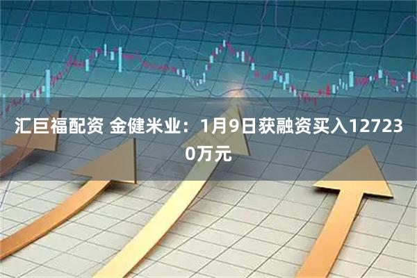 汇巨福配资 金健米业：1月9日获融资买入127230万元