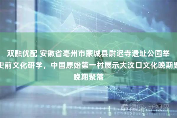 双融优配 安徽省亳州市蒙城县尉迟寺遗址公园举办史前文化研学，中国原始第一村展示大汶口文化晚期聚落